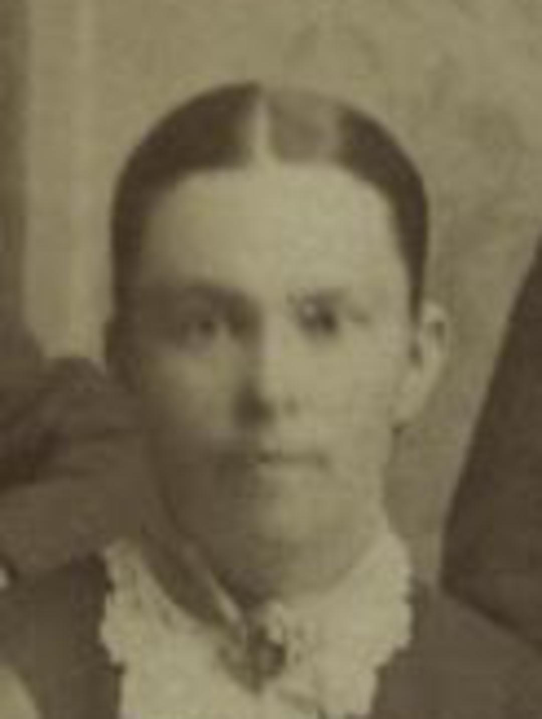 Alice Taylor Doman (1857 - 1923) Profile
